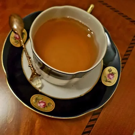 ホテル Elsa スコピエ